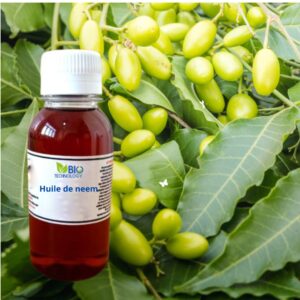 Huile de neem