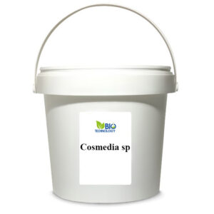 Cosmedia sp